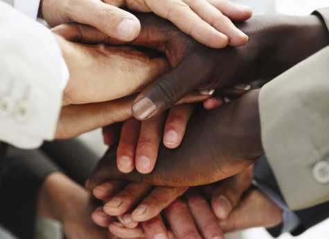 Diversity And The Fight Towards The Democratic Ideal