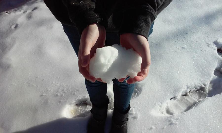 There are many things that students can do with snow