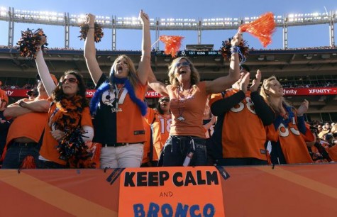 DENVER, CO - JANUARY 19: Broncos fans cheer on their team during the first quarter. The Denver Broncos vs. The New England Patriots in an AFC Championship game at Sports Authority Field at Mile High in Denver on January 19, 2014. (Photo by Helen Richardson/The Denver Post)