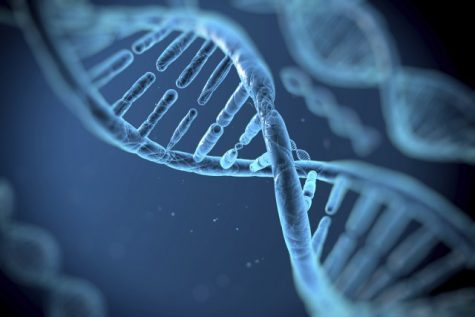 The Danger of Genetic Makeup