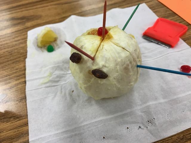 Students then placed the different colored toothpicks at each lobe of the orange brain, representing the Frontal (red), Parietal (orange), Temporal ( green), and Occipital (blue) lobes 