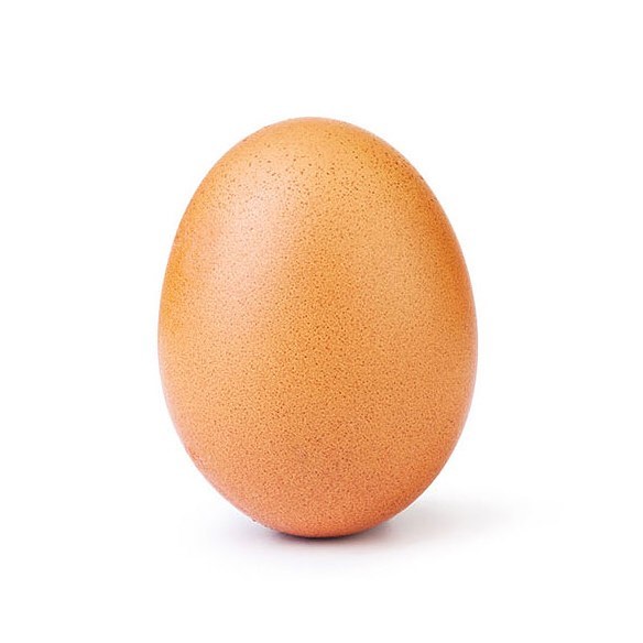 The Internet Loves Eggs