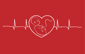 The Heartbeat Bill