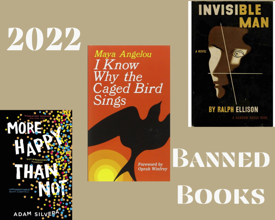 Some+books+that+have+been+banned+from+the+public.