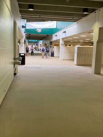 New Hallway Sweeps at Smoky