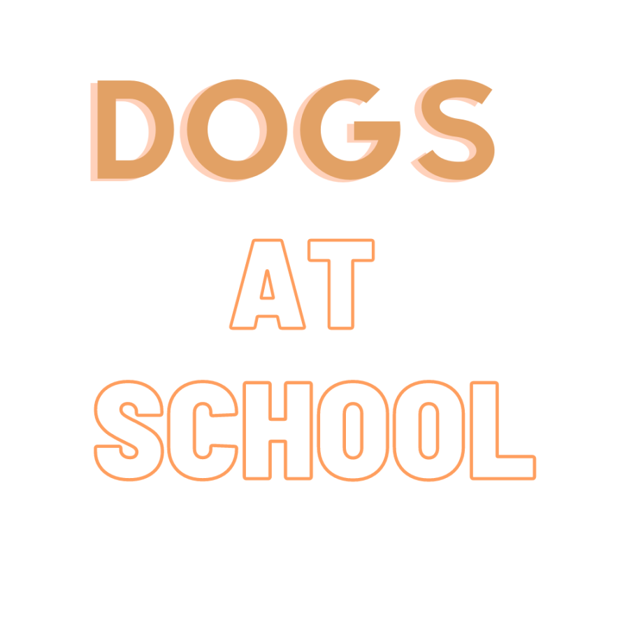 Dogs+At+School