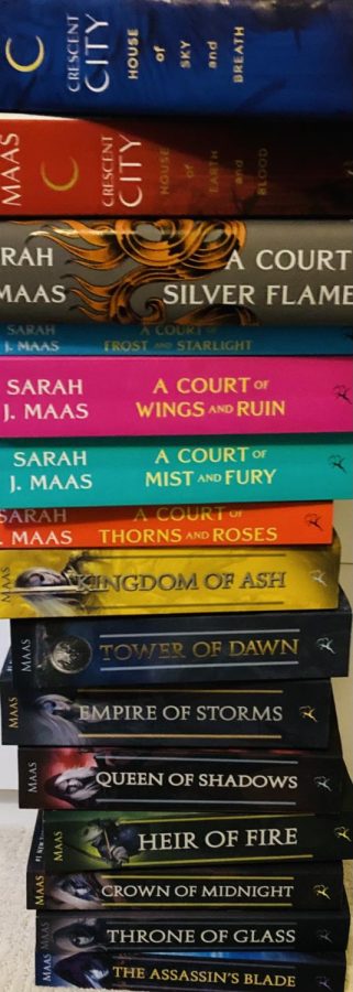 Opinion | Sarah J Maas is the Greatest Fantasy Writer of All Time.
