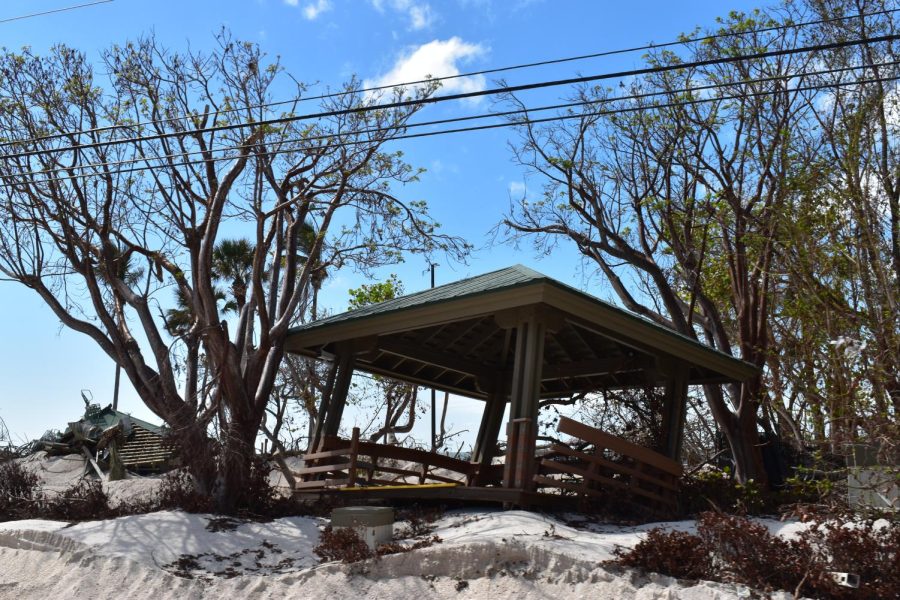 A damaged picnic area hangs on by the trees holding it in place on a pile of sand.