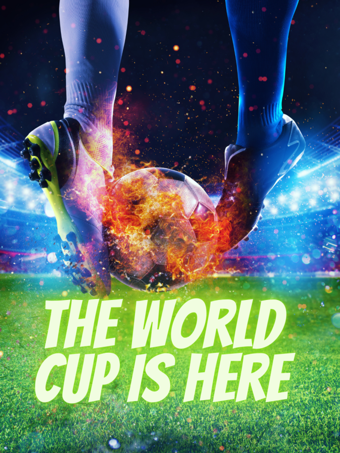 What+Teams+are+Students+Cheering+for+in+the+2022+Fifa+World+Cup%3F