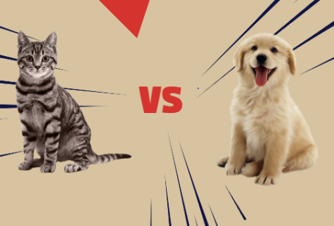 Dogs Vs. Cats: Which One Is Better?