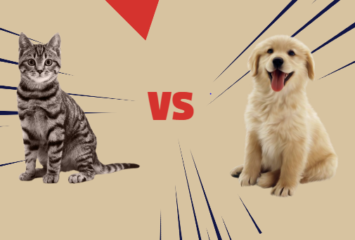 Dogs Vs. Cats: Which One Is Better? – Smoky Now